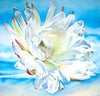 giclee print by visionary Artist Kylee Joy from Byron Bay, Painting of a celius cactus flower or San Pedro flower, title free to be me