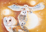 "MOONLIGHT SYMPHONY" A trio of Barn Owls and a Celestial Ballet.