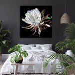 giclee print by visionary Artist Kylee Joy from Byron Bay, Painting of a white cactus flower, title Night Queen.