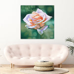 giclee print by visionary Artist Kylee Joy from Byron Bay, Painting of a Beautiful Pink Rose