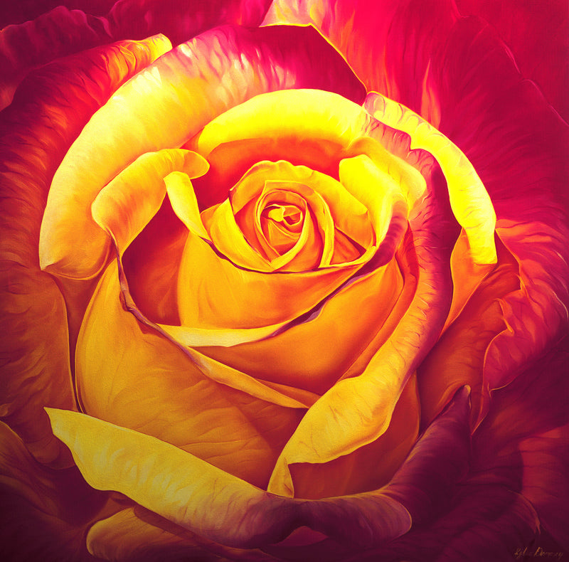 giclee print by visionary Artist Kylee Joy from Byron Bay, Painting of a Beautiful yellow and red rose.