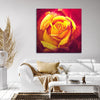 giclee print by visionary Artist Kylee Joy from Byron Bay, Painting of a Beautiful yellow and red rose.